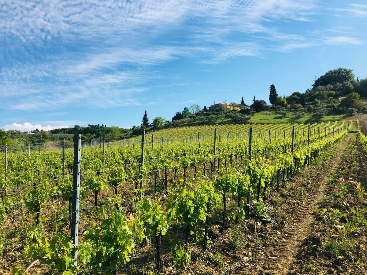 Agriturismo La Valle A Polvereto Tavarnelle Val di Pesa ภายนอก รูปภาพ