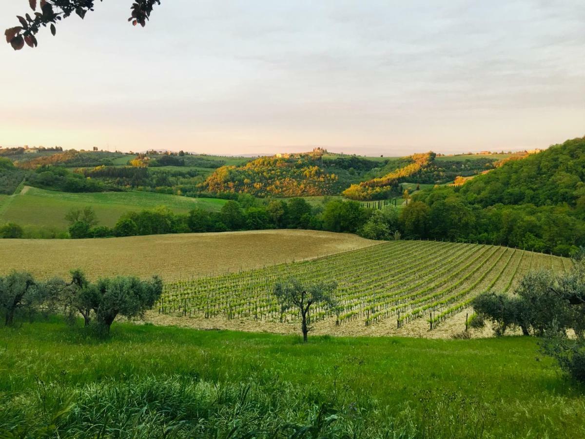 Agriturismo La Valle A Polvereto Tavarnelle Val di Pesa ภายนอก รูปภาพ